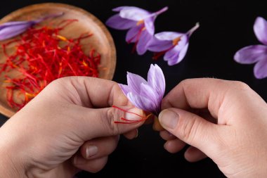 Lateks eldivenli bir kadın, siyah arka plandaki bir tarladan safran erkeklik hormonu çıkarır. Ahşap bir tabakta bir sürü erkek organı vardır. Masanın üzerinde mor timsahlar var..