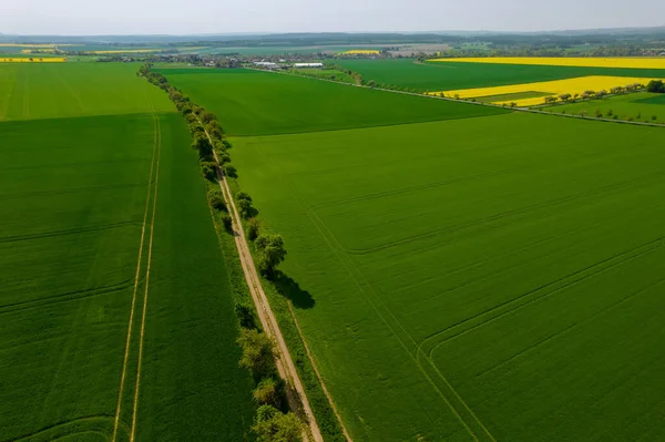 Aerial View Wheat Green Fields Countryside Field Road Farm Fields — Foto de Stock