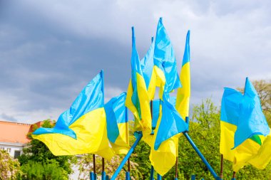 Flags of Ukraine on a background of green trees and blue sky on a windy day. The state symbol of Ukraine.