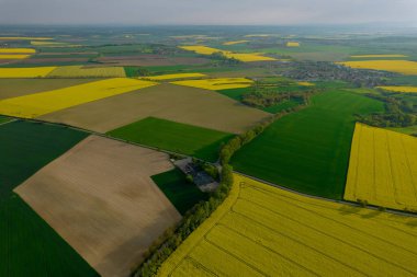 View from a height of fields and countryside, rapeseed and wheat plantations. Beautiful view from the top.