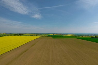 Panoramic view from the top of the fields in the countryside. Blue sky and yellow-green fields.