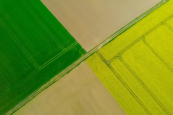 View Height Triangles Farm Fields Growing Rapeseed Wheat Agriculture — Stock Photo, Image