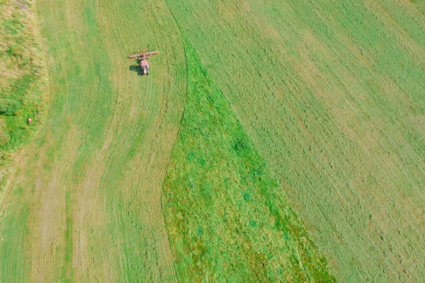 A red tractor rakes the mown grass in the drying field. Top view of modern farmer machinery. Preparations of fodder grasses for hay.