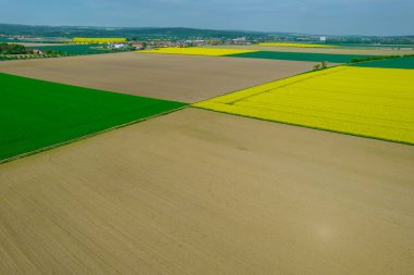View from a height of the countryside and farm fields. Growing rapeseed and wheat. Agriculture.