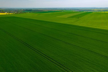 Panoramic view from the top of a wheat field in the countryside. Farm fields. Agriculture.