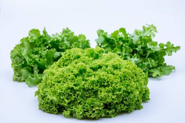 Beyaz arka planda farklı türde salata. Yeşillik yetişiyor.