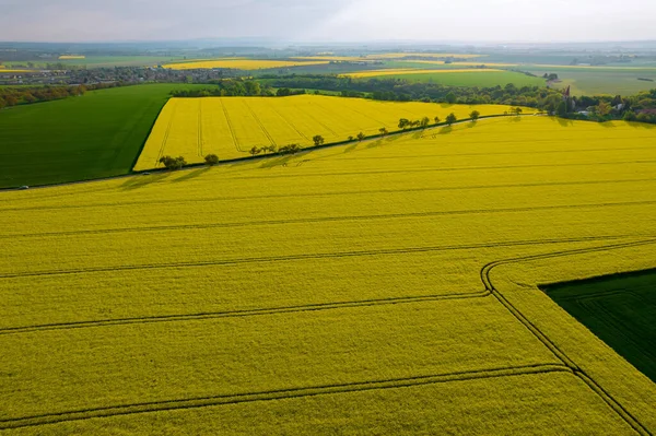 Top view of flowering rapeseed field, wheat field and countryside. Panoramic view from above.