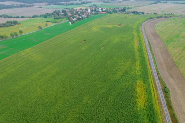 Yeşil alanın panoramik manzarası ve tren yolunun yakınındaki köy. Kırsal alanın en üst görüntüsü.