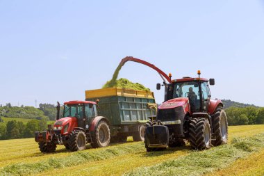 Bir traktör römorkunda tarladan ot topluyorum. Kış için ekin hazırlığı. Tarlada çalış..