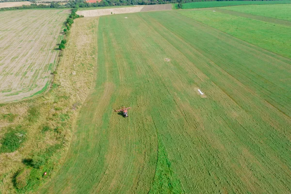 A red tractor rakes the mown grass in the drying field. Top view of modern farmer machinery. Preparations of fodder grasses for hay.