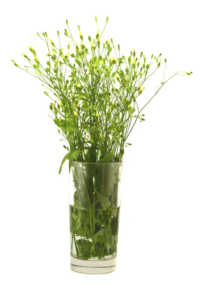 Kytice květiny ve sklenici — Stock fotografie