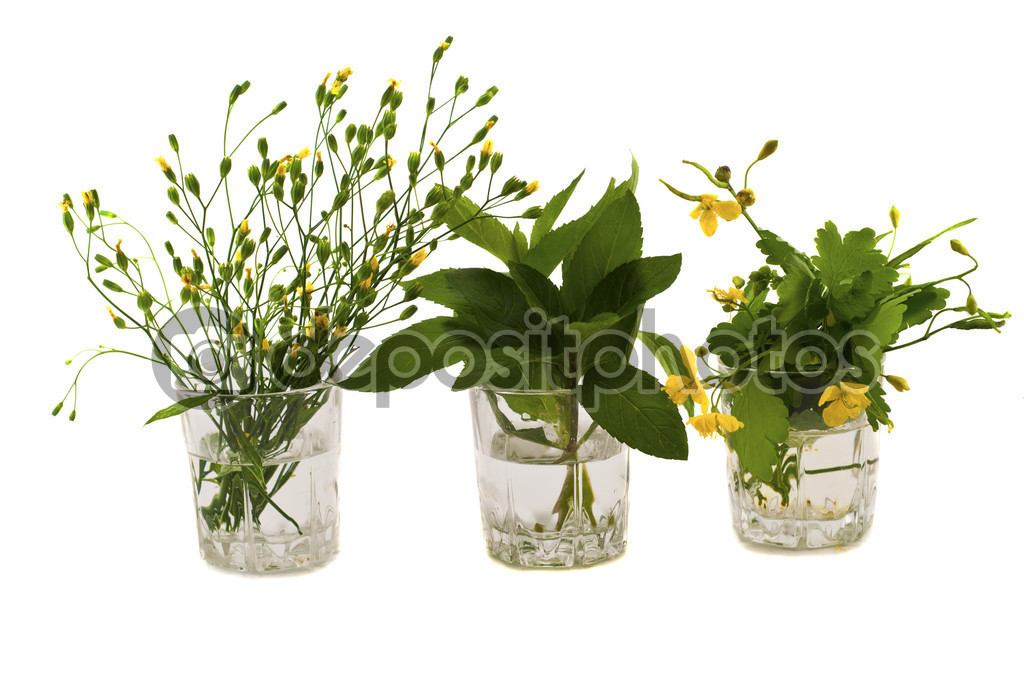 herbs in a glass