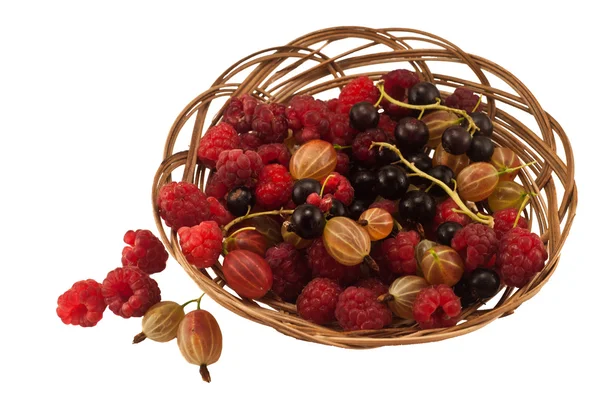 Agrus raspberry currant — Stock Photo, Image
