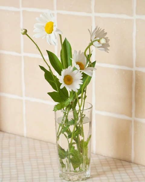 Daisy bouquet — Stock Photo, Image