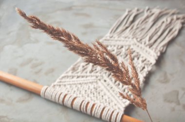 Ön planda kurumuş bir bataklığın dalı. Makrama el yapımı makrome dokusu. İç mekandaki doğal dekor kavramı. Pamuk bağı ve makrome dekor