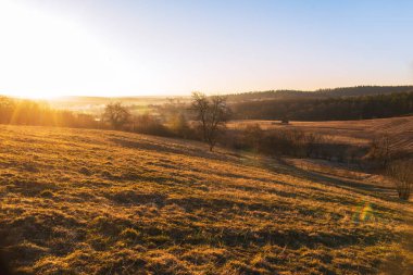 Sabah çayırda, güneş ışığında mavi gökyüzünde.