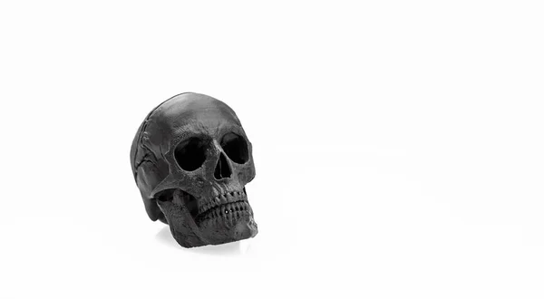 Skull Black Profile Isolated White Background Shadow — Stock Photo, Image