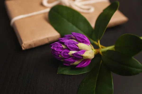 Purple azalea flower with a gift in a craft package on a wooden black background.