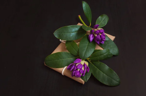 Fiori Azalea Viola Con Regalo Confezione Artigianale Uno Sfondo Nero — Foto Stock