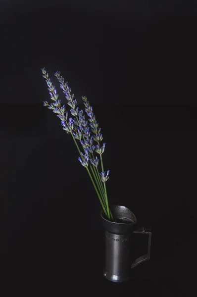 Still Life Vintage Measuring Goblet Lavender Flowers Dark Background — Foto Stock