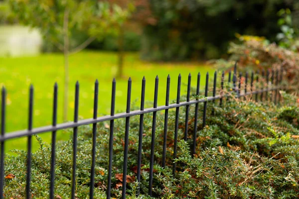 Metal Fence Park Overlooking Clearing Green Grass Day — Stock Photo, Image