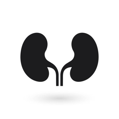 Böbrek ikonu vektörü. Üroloji logo tasarım şablonu. Vektör