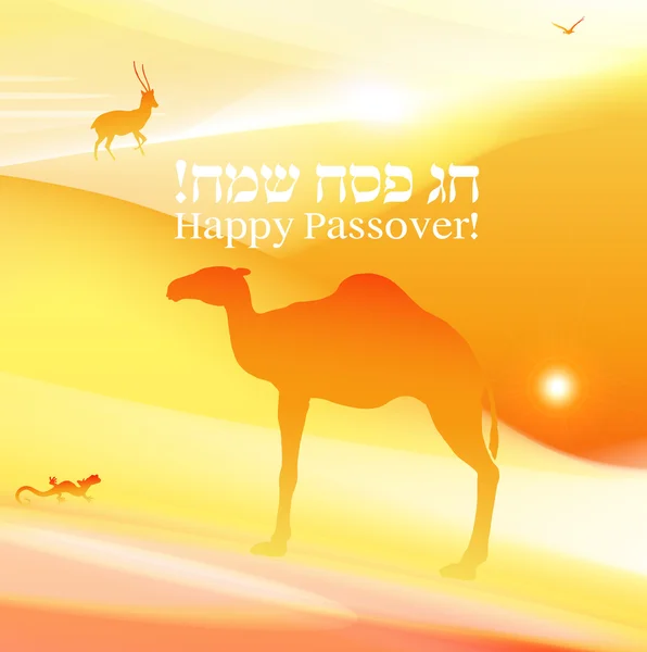 Passover vector fondo o tarjeta . — Archivo Imágenes Vectoriales