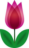 tulipán. vektor