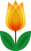 Orange tulip.