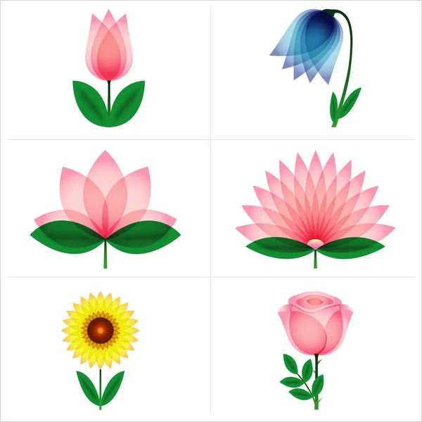 Rosa, tulipano, fiore di campana, astro, loto, girasole — Vettoriale Stock