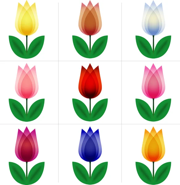 Conjunto de tulipanes — Vector de stock