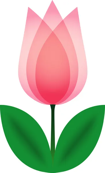 Tulipano rosa — Vettoriale Stock