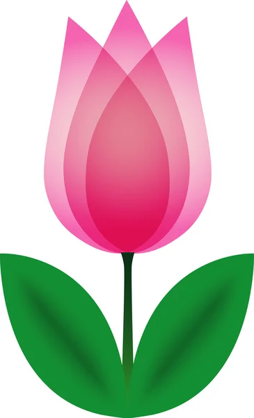 Tulipano rosa — Vettoriale Stock