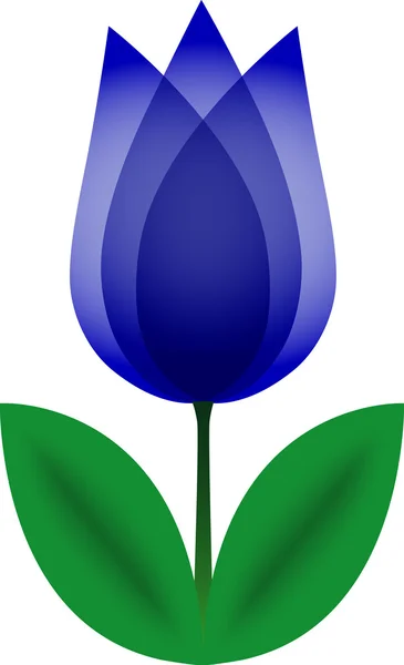 Tulipán azul . — Vector de stock
