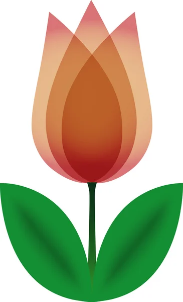 Tulipán marrón . — Vector de stock