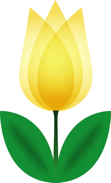 Tulipano giallo . — Vettoriale Stock