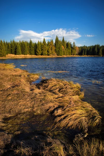 湖の秋 — ストック写真