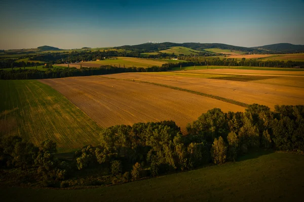 Skog och fält — Stockfoto