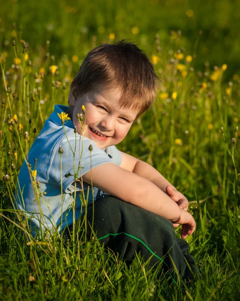 Little boy in a dandelion meadow Royalty Free Stock Photos