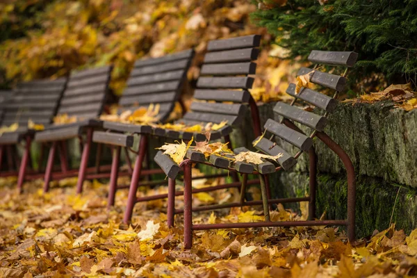 Höst park med bänk — Stockfoto