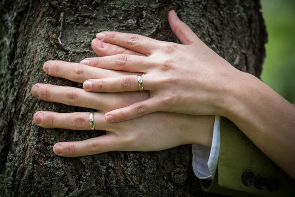 Anéis de casamento nas mãos — Fotografia de Stock