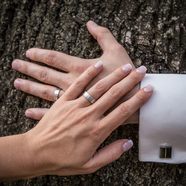 Anillos de boda en las manos — Foto de Stock