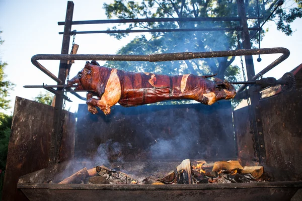 Pig on the grill — Stock Photo, Image