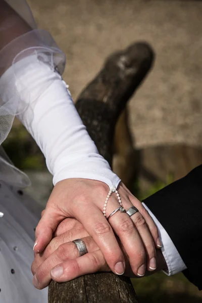 Anéis de casamento nas mãos — Fotografia de Stock