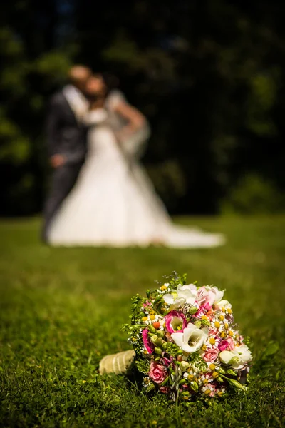 Novia y novio besándose — Foto de Stock