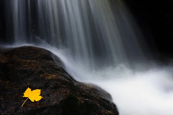 Cachoeira — Fotografia de Stock