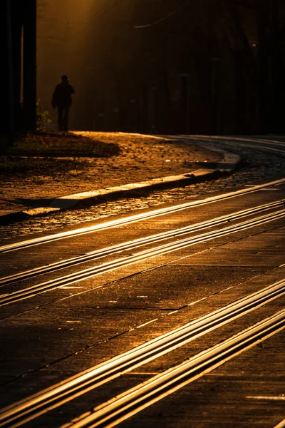 RAIL — Stock Photo, Image