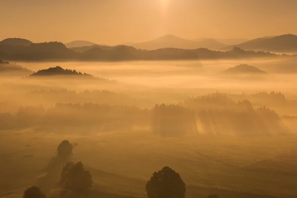 Krajina s mlha — Stock fotografie