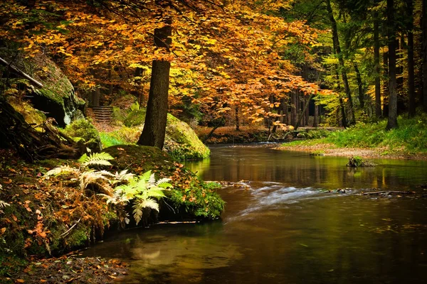 Autumn stream — Stockfoto