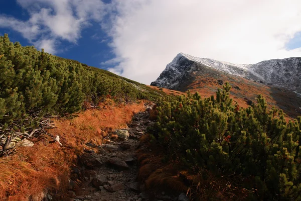 Panorama da montanha — Fotografia de Stock